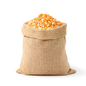Yellow Corns / Maize