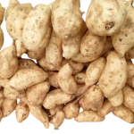 Sweet Potato White - Sharing