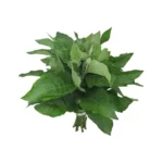Fresh Bitter Leaf