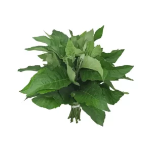 Fresh Bitter Leaf