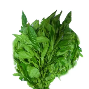 Fresh Ewedu