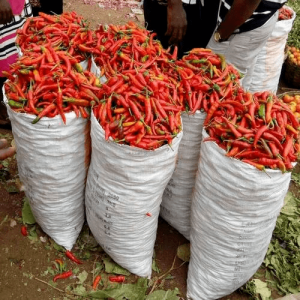 Fresh Shombo approx 27kg(sharing)