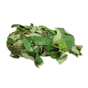 Uziza Leaf