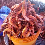 Dried Prawns-Medium