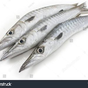 Barracuda (Washed and cut-up / Ready to cook) - 1kg