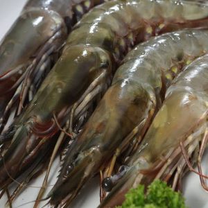 Fresh Jumbo Prawns head-on 1kg