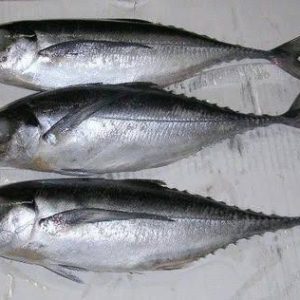 Kote Fish - 1 Carton (Sharing)