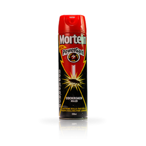 Mortein Instant Power Cockroach & Ant Killer - 300ml