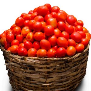 Fresh Tomatoes(Grade A) Basket (50kg)
