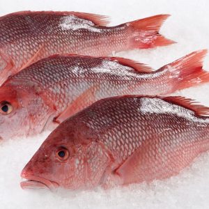 Snappers 2.5kg(Neatly Washed & Ready To Cook)