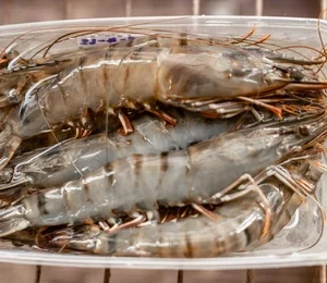 Jumbo Prawns - Sharing