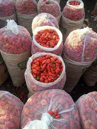 Atarodo(Scotch Bonnet) Full Bag(12.8kg)