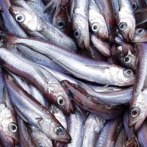 Panla (Eja Egun) - Sharing