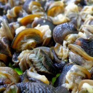 Jumbo Sea Snail (Washed & Ready to cook) - 2kg