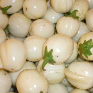 Garden Egg White - Sharing
