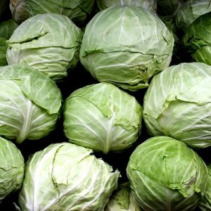 Cabbage - Sharing
