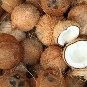 Coconut - half -1dozen Sharing