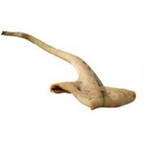 Cow Tail - Sharing