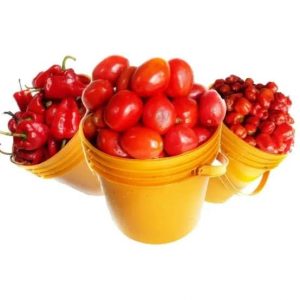 Tatashe/Atarodo/Tomatoes