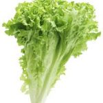 Lettuce Heads x 6