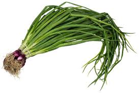 Spring Onions Bunch
