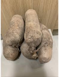 5 Medium Size Abuja Yam