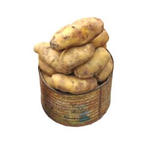 Irish Potatoes Half Paint
