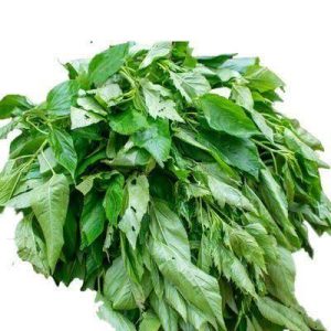 Ewedu