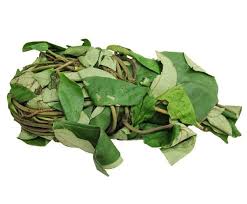 Uziza Leave (medium size)