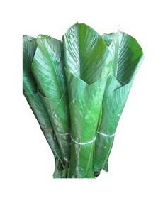 Moinmoin Leaves (medium)