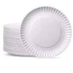 Disposable Party Plates x6
