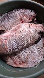 Washed & Descaled Tilapia Pack(not cut)1kg